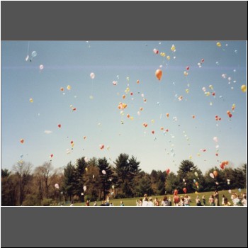 Unable to load Image